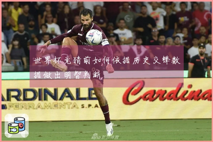 世界杯竞猜前如何依据历史交锋数据做出明智判断