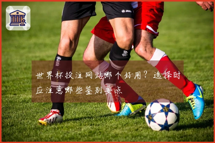 世界杯投注网站哪个好用？选择时应注意哪些鉴别要点