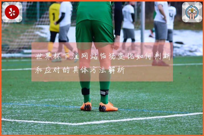 世界杯下注网站临场变化如何判断和应对的具体方法解析