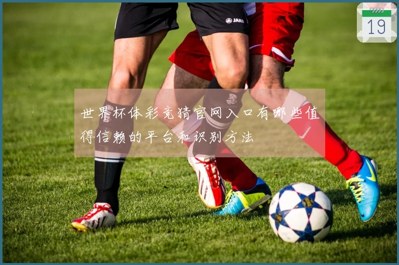 世界杯体彩竞猜官网入口有哪些值得信赖的平台和识别方法